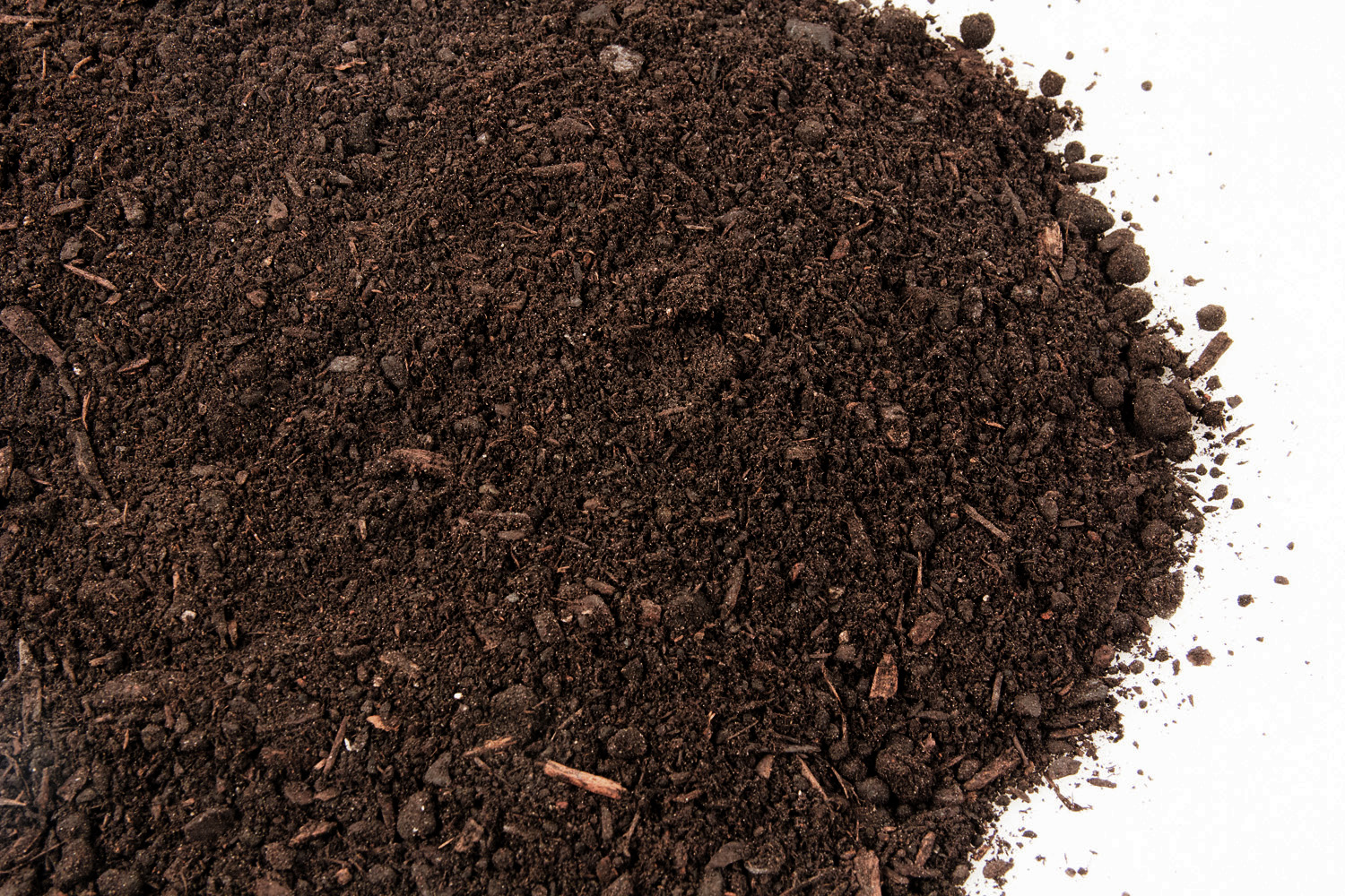 peat moss soil Peat moss