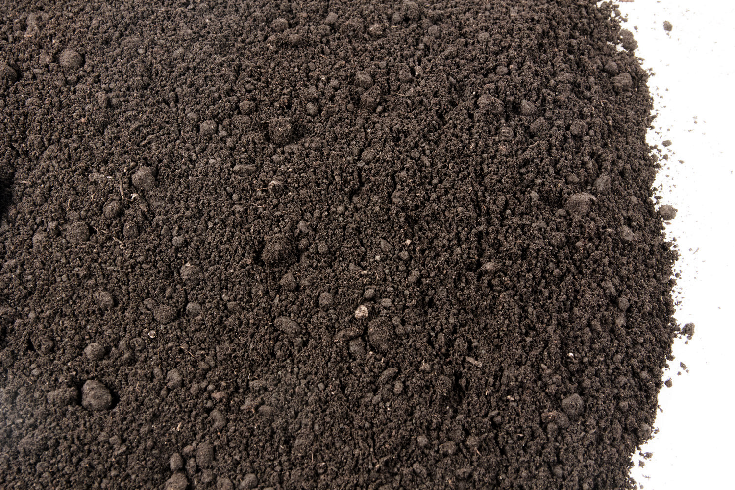 Reed Sedge Peat Moss Mountain West ProductsMountain West Products